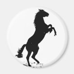 Rearing Horse Fridge Magnets
