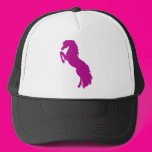 Rearing Horse in Grape Mesh Hat