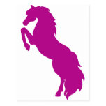 Rearing Horse in Grape Postcards