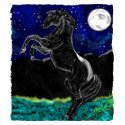 Rearing horse shirt