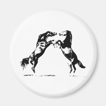 Rearing Horses Magnets