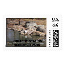 Reaseach Pk.,   COLLEGE STATION RESEARCH PARK postage