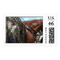 "Reata - Watercolor" Stamps by tbarcequine "Reata - Watercolor" Stamps