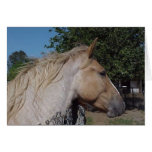 Reba Greeting Card