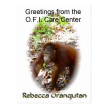 Rebecca's Vacation Greetings Post Cards