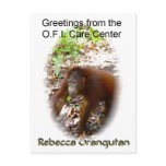 Rebecca's Vacation Greetings Post Cards