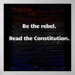 rebel-constitution-2012-04-24-001 print