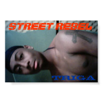 rebel posters by PRESSLEY rebel posters