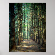 Rebellious Tree Photo Poster