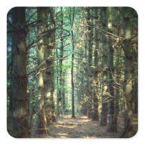 Rebellious Tree Photo Sticker