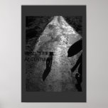 Rebel's first adventure posters