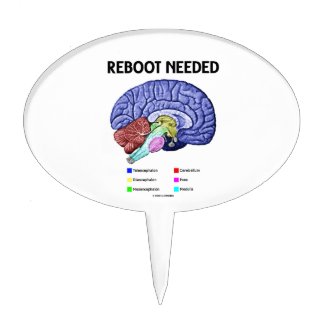 Reboot Needed (Anatomical Brain Humor) Cake Picks