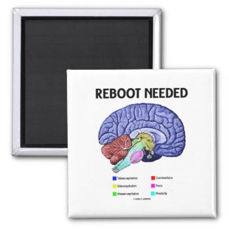 Reboot Needed (Anatomical Brain Humor) Magnet