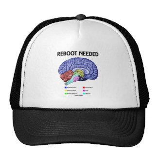 Reboot Needed (Anatomical Brain Humor) Mesh Hats