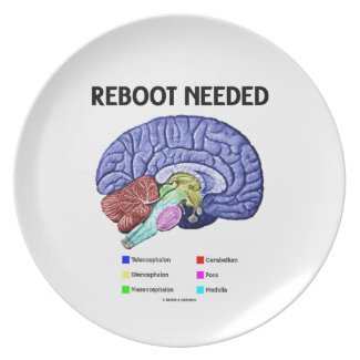 Reboot Needed (Anatomical Brain Humor) Plates