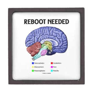 Reboot Needed (Anatomical Brain Humor) Premium Gift Boxes