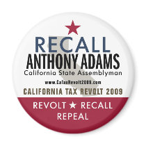 Recall Anthony Adams Magnet