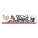 Recall Benedict Arnold-1776 Revolt Bumper Sticker bumper stickers