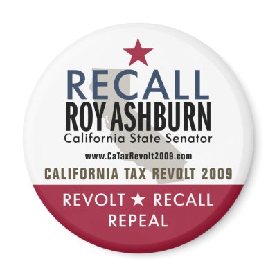Recall Roy Ashburn Magnet by CATaxRevolt