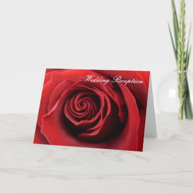 Reception  Invitation Red Rose Cards