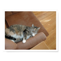 Recline in the Nude posters by VailK Recline in the Nude posters