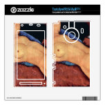 Reclining Nude by Amedeo Modigliani Toshiba REGZA Skins