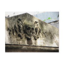 Recoleta Cemetery, Buenos Aires, Argentina postcards by lshickzazzle Recoleta Cemetery, Buenos Aires, Argentina postcards