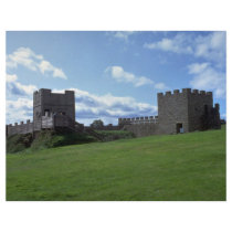 Reconstruction of Hadrians Wall, Vindolanda Museum Custom Flyer