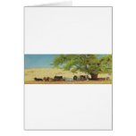 Record Temps - cattle cards