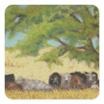 Record Temps - cattle Sticker