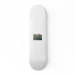 Recovered_JPEG Digital Camera_695 Skate Deck
