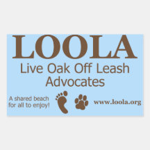 Rectangle Sticker: LOOLAorg