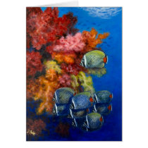 Reculated BBF with soft corals Greeting Cards