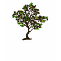 Recycle Symbol Tree Womens T-shirt by ecogreenbags Recycle Symbol Tree Womens T-shirt