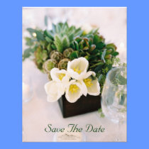 Recycled Wedding Invitation Announcements invitations