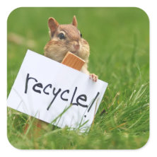 recycling chipmunk square stickers