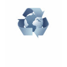 ladies_casual_tshirt - In order for a recycling program to work, having a large, stable supply of recyclable material is crucial.: Sizes  Available colors: paleblue