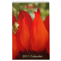 Red - 2011 calendar