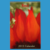 Red - 2012 Calendar calendars