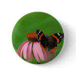 Red Admiral Butterfly on Purple Cone Flower Button