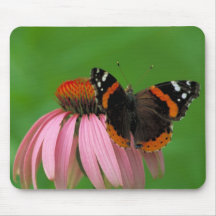 Red Admiral Butterfly on Purple Cone Flower Mousepads