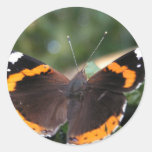 Red Admiral Butterfly Sticker