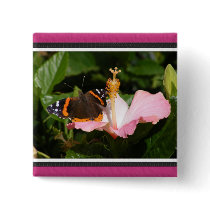 Red Admiral on Hibiscus Pinback Buttons