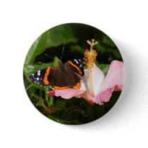 Red Admiral on Hibiscus Pinback Buttons