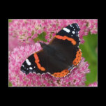 Red Admiral on Sedum (Autumn Joy) postcards