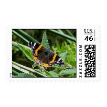 Red Admiral Postage postage by naturalphotos Red Admiral Postage postage