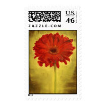 Red African Daisy Postage Stamp