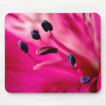 Red Alstroemeria mousepads
