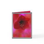 Red Amarilla/ Happy Birthday Card