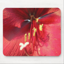 Red Amarillys mousepads